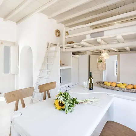 Villa Seaside Mykonos Town